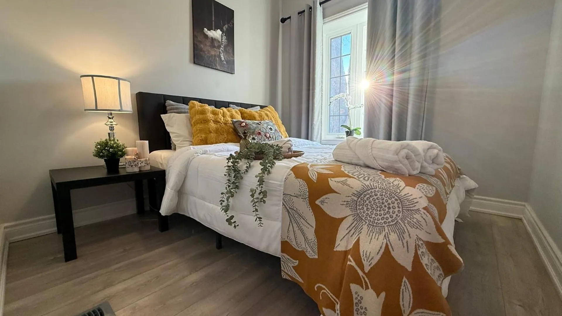 3 Bedrooms Little Italy Downtown Toronto